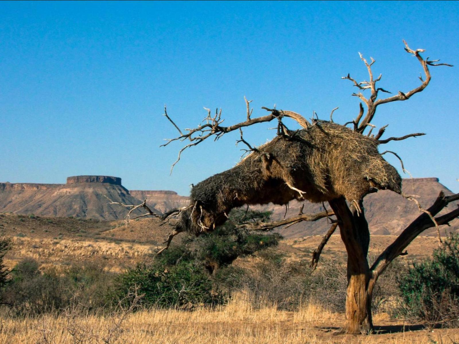 Mount Canyon Guest Farm Китмансхуп Экстерьер фото